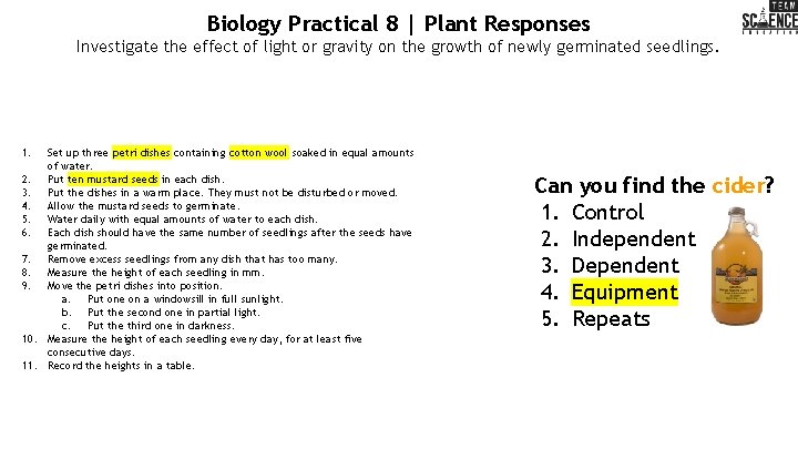Biology Practical 8 | Plant Responses Investigate the effect of light or gravity on