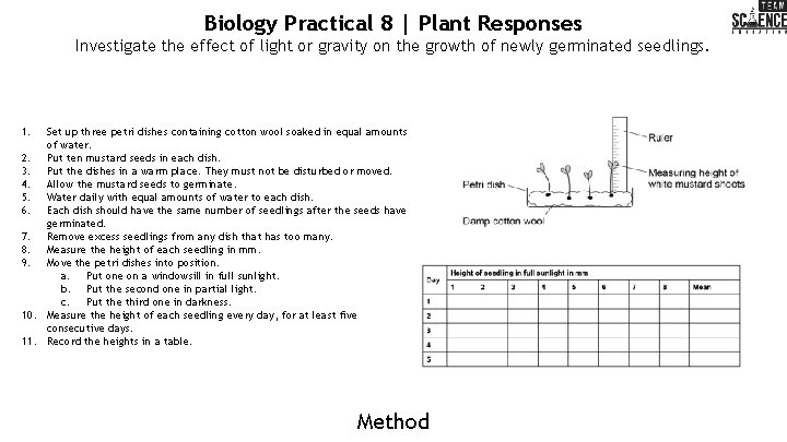 Biology Practical 8 | Plant Responses Investigate the effect of light or gravity on