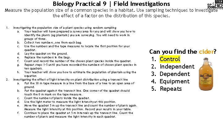 Biology Practical 9 | Field Investigations Measure the population size of a common species
