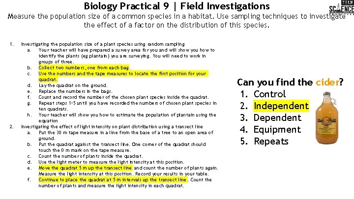 Biology Practical 9 | Field Investigations Measure the population size of a common species