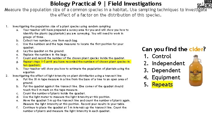 Biology Practical 9 | Field Investigations Measure the population size of a common species