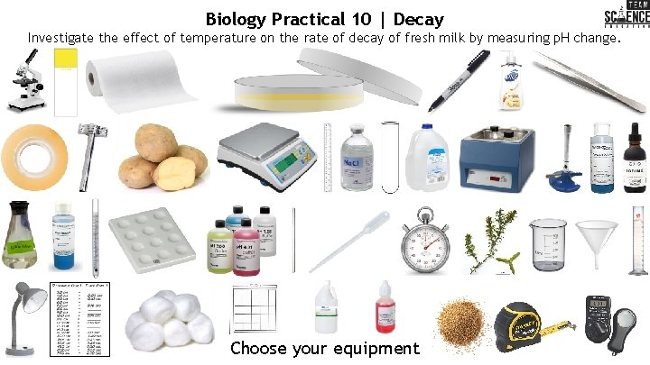 Biology Practical 10 | Decay Investigate the effect of temperature on the rate of