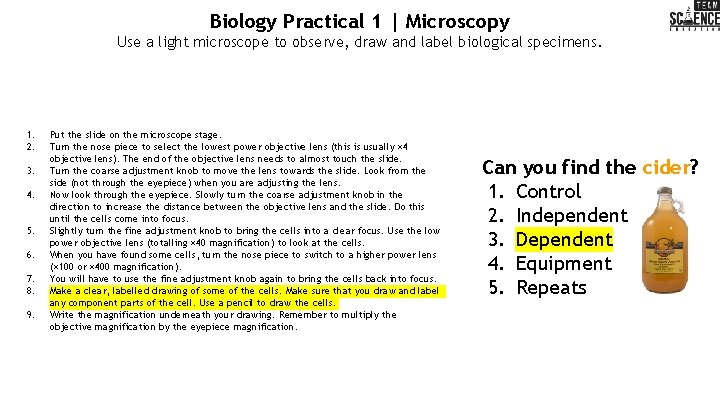 Biology Practical 1 | Microscopy Use a light microscope to observe, draw and label