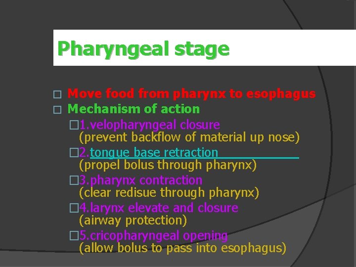 Pharyngeal stage � � Move food from pharynx to esophagus Mechanism of action �