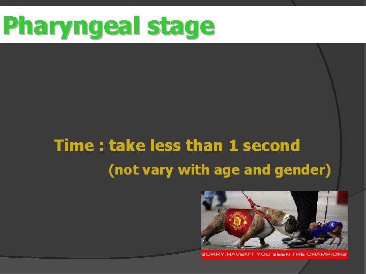 Pharyngeal stage er Time : take less than 1 second (not vary with age