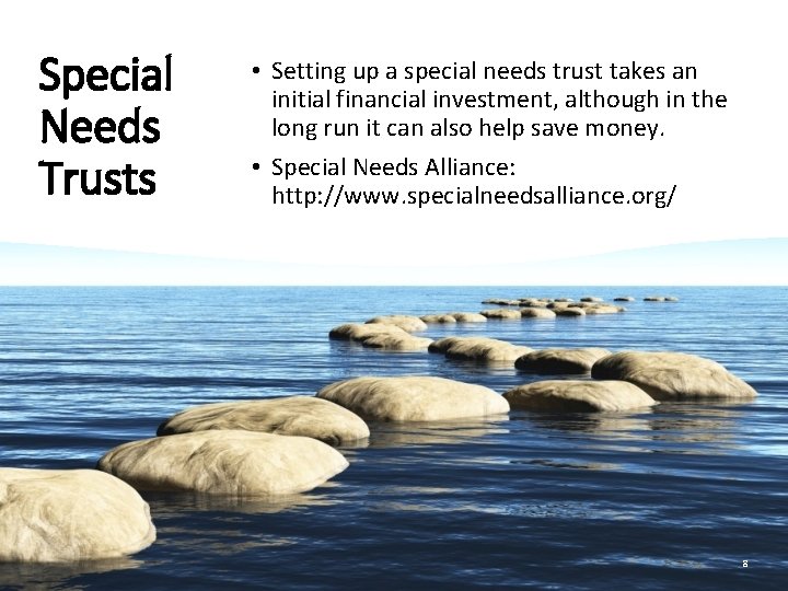 Special Needs Trusts • Setting up a special needs trust takes an initial financial