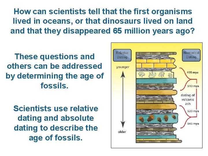 How can scientists tell that the first organisms lived in oceans, or that dinosaurs