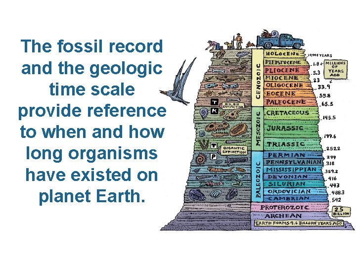 The fossil record and the geologic time scale provide reference to when and how