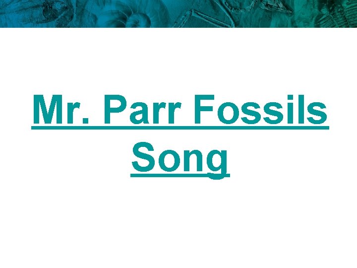 Mr. Parr Fossils Song 