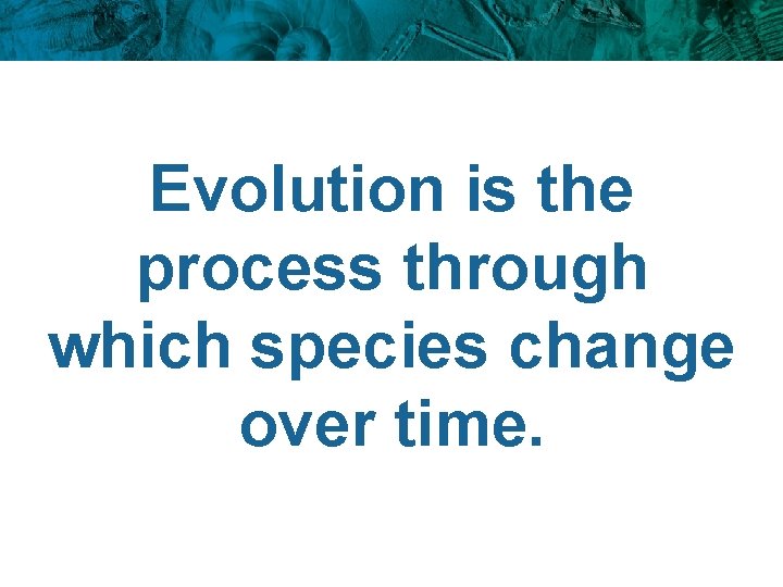 Evolution is the process through which species change over time. 