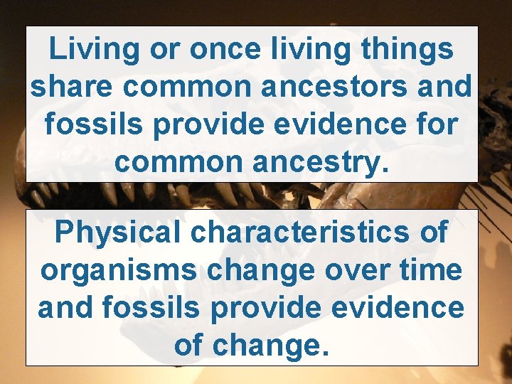 Living or once living things share common ancestors and fossils provide evidence for common
