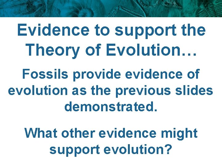 Evidence to support the Theory of Evolution… Fossils provide evidence of evolution as the