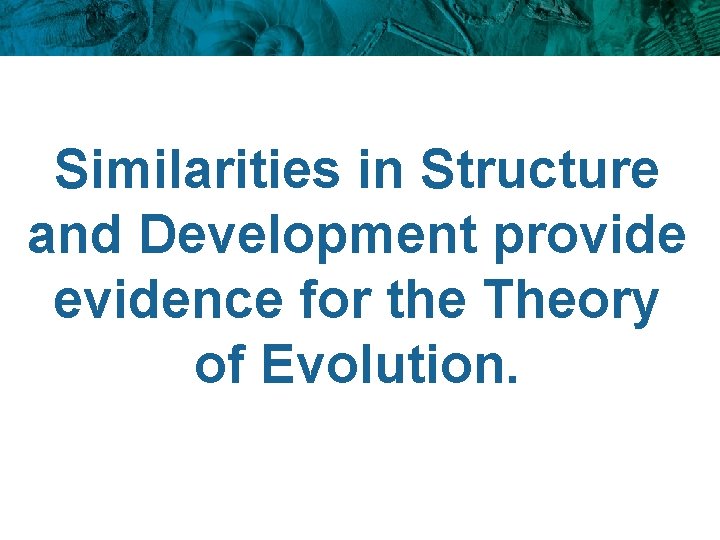 Similarities in Structure and Development provide evidence for the Theory of Evolution. 