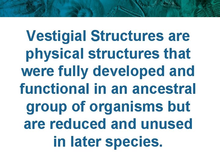 Vestigial Structures are physical structures that were fully developed and functional in an ancestral