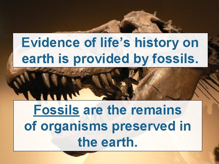 Evidence of life’s history on earth is provided by fossils. Fossils are the remains