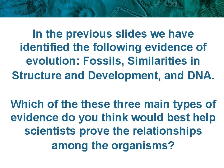 In the previous slides we have identified the following evidence of evolution: Fossils, Similarities