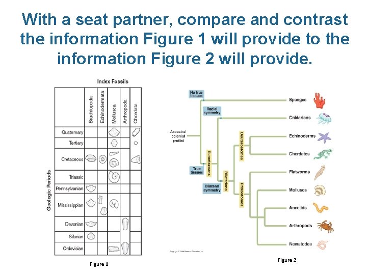 With a seat partner, compare and contrast the information Figure 1 will provide to