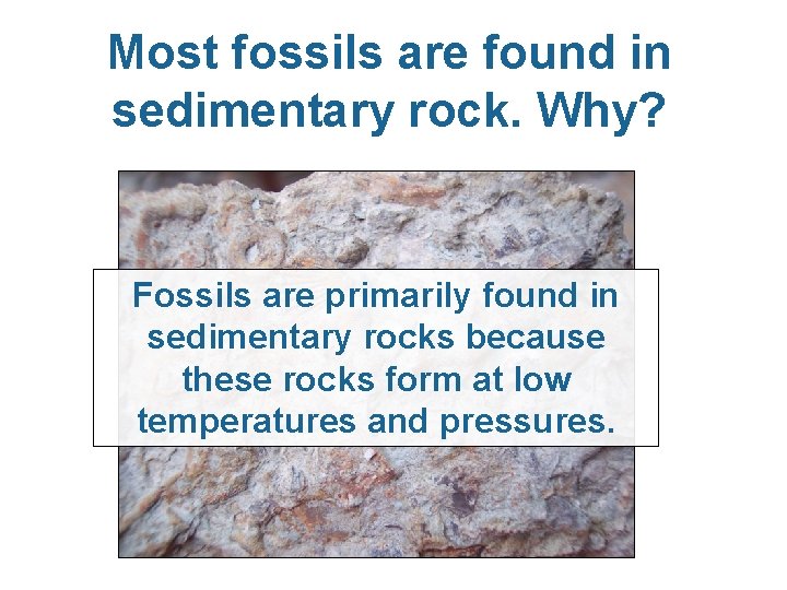 Most fossils are found in sedimentary rock. Why? Fossils are primarily found in sedimentary