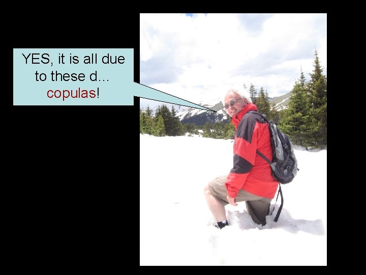 YES, it is all due to these d… copulas! 