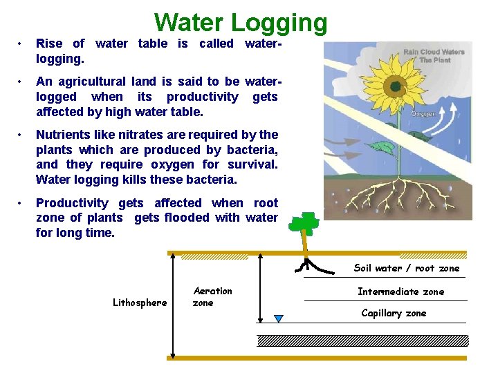 Water Logging • Rise of water table is called waterlogging. • An agricultural land