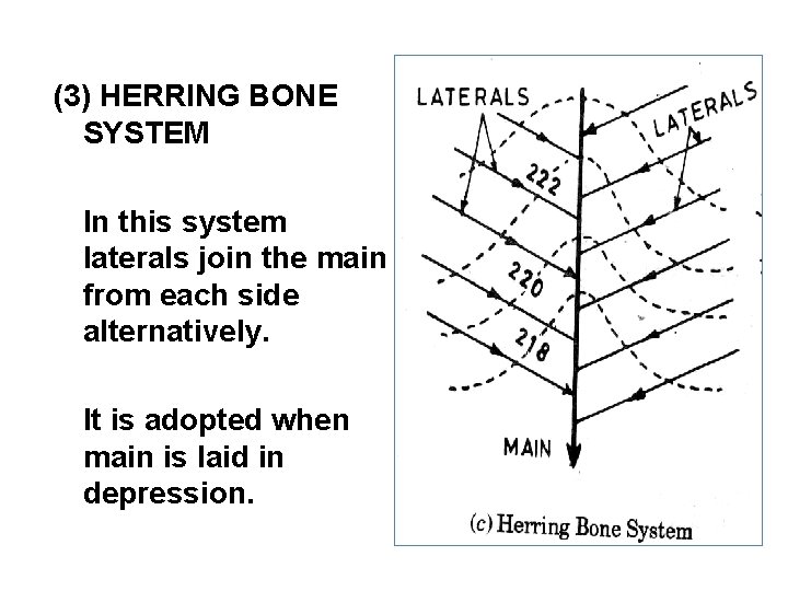 (3) HERRING BONE SYSTEM In this system laterals join the main from each side
