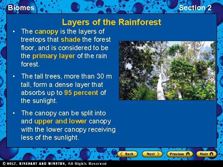 Biomes Section 2 Layers of the Rainforest • The canopy is the layers of