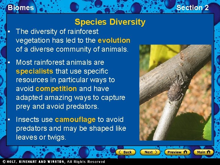 Biomes Section 2 Species Diversity • The diversity of rainforest vegetation has led to