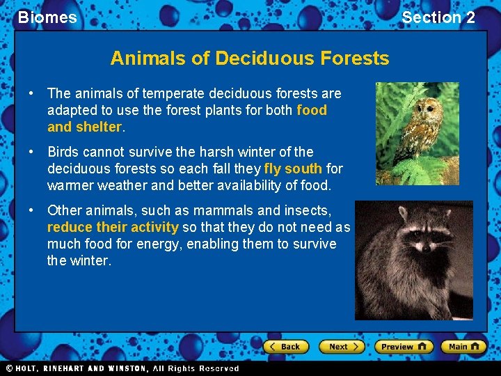 Biomes Section 2 Animals of Deciduous Forests • The animals of temperate deciduous forests Biomes Section 2 Animals of Deciduous Forests • The animals of temperate deciduous forests