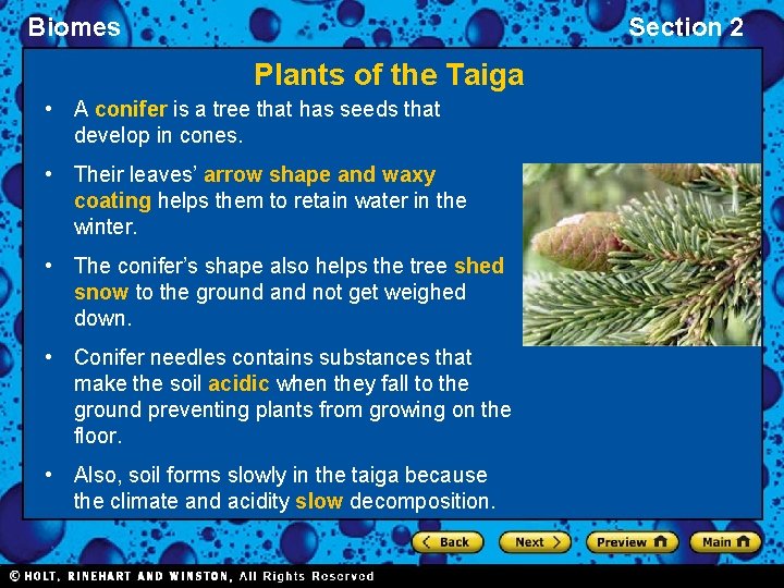 Biomes Section 2 Plants of the Taiga • A conifer is a tree that