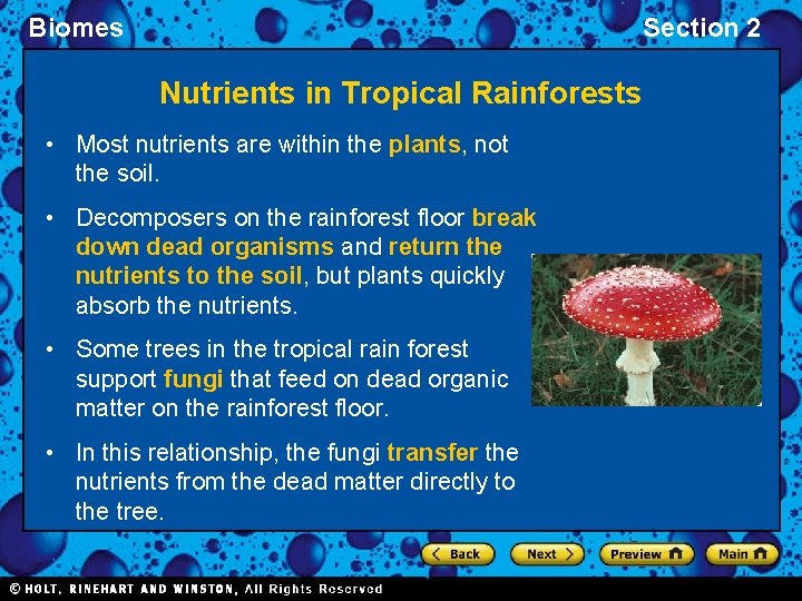 Biomes Section 2 Nutrients in Tropical Rainforests • Most nutrients are within the plants,