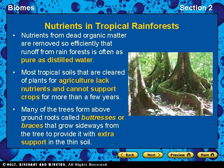 Biomes Section 2 Nutrients in Tropical Rainforests • Nutrients from dead organic matter are