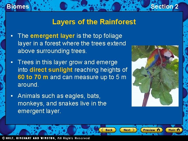 Biomes Section 2 Layers of the Rainforest • The emergent layer is the top