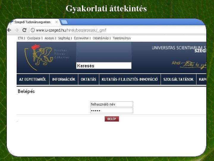 Gyakorlati áttekintés Gyakorlati áttekintés