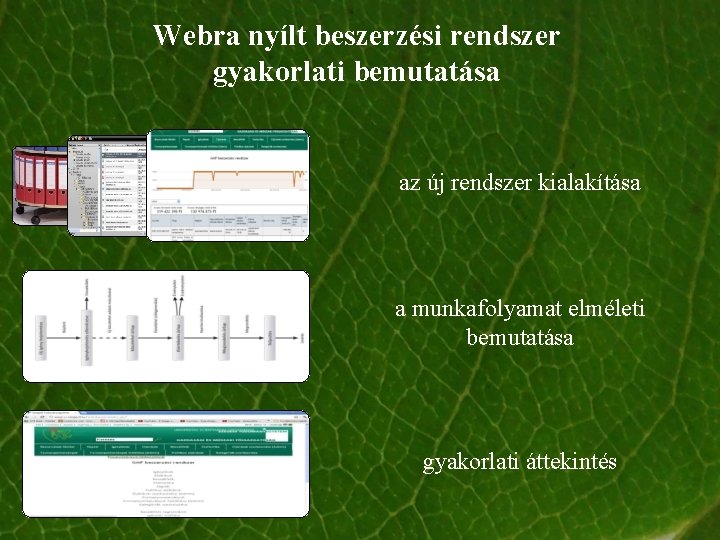 Webra nyílt beszerzési rendszer gyakorlati bemutatása az új rendszer kialakítása a munkafolyamat elméleti bemutatása Webra nyílt beszerzési rendszer gyakorlati bemutatása az új rendszer kialakítása a munkafolyamat elméleti bemutatása