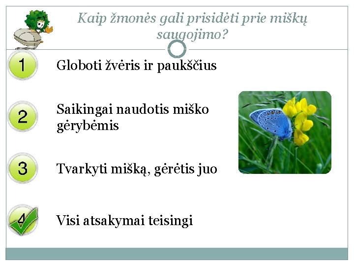 Kaip žmonės gali prisidėti prie miškų saugojimo? Globoti žvėris ir paukščius Saikingai naudotis miško