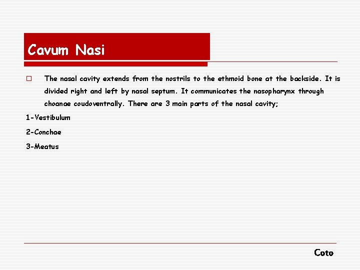 Cavum Nasi o The nasal cavity extends from the nostrils to the ethmoid bone