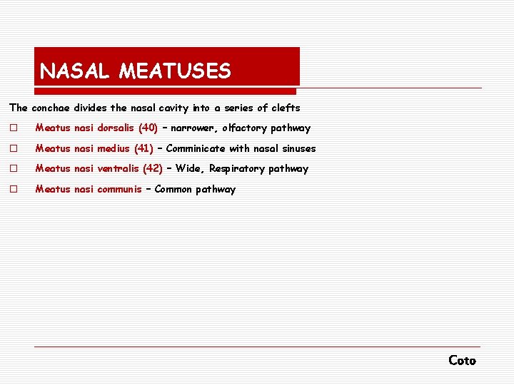 NASAL MEATUSES The conchae divides the nasal cavity into a series of clefts o
