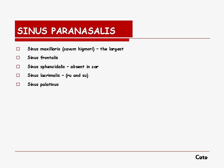 SINUS PARANASALIS o Sinus maxillaris (cavum higmori) – the largest o Sinus frontalis o