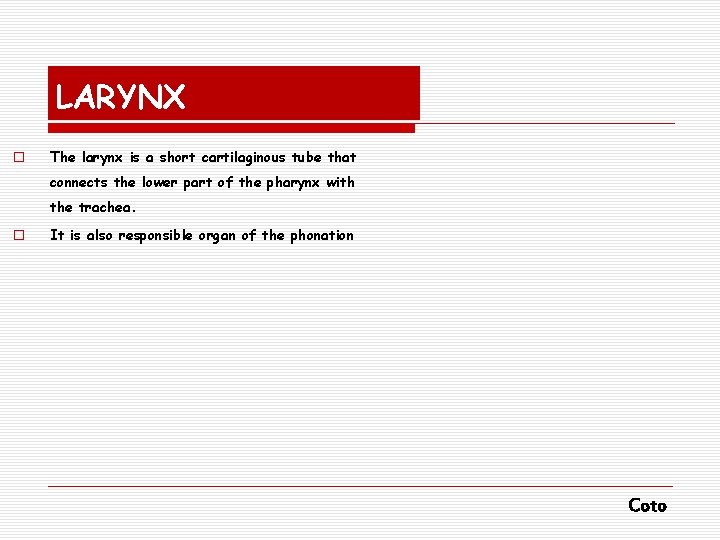 LARYNX o The larynx is a short cartilaginous tube that connects the lower part