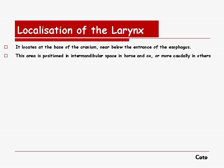 Localisation of the Larynx o It locates at the base of the cranium, near