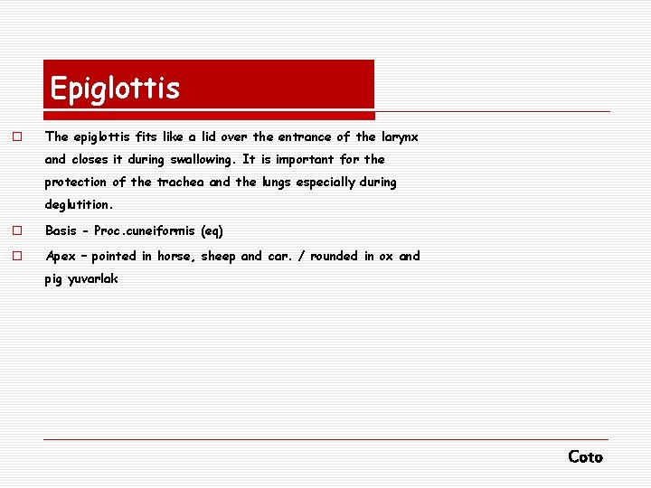 Epiglottis o The epiglottis fits like a lid over the entrance of the larynx