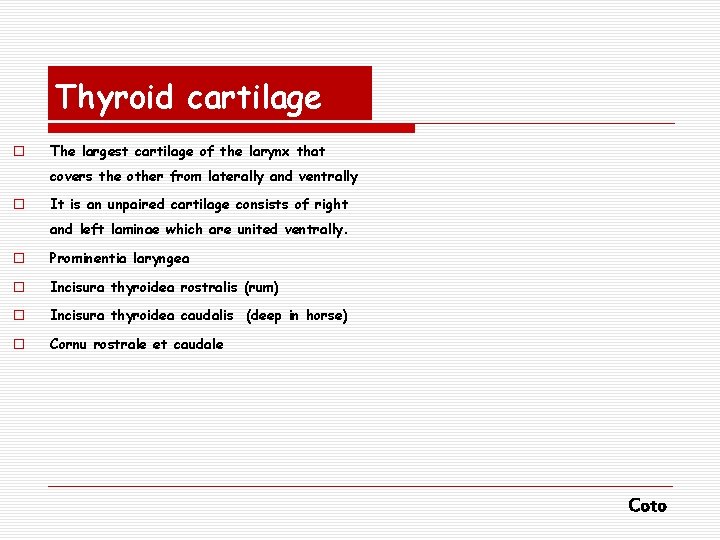 Thyroid cartilage o The largest cartilage of the larynx that covers the other from