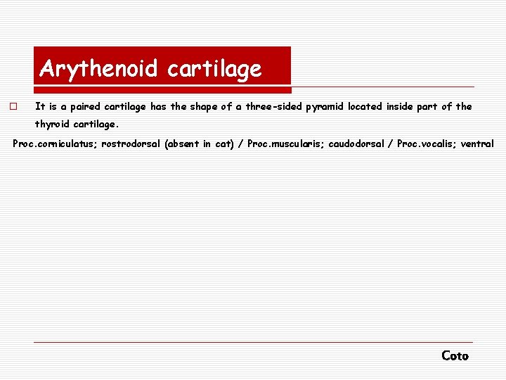 Arythenoid cartilage o It is a paired cartilage has the shape of a three-sided