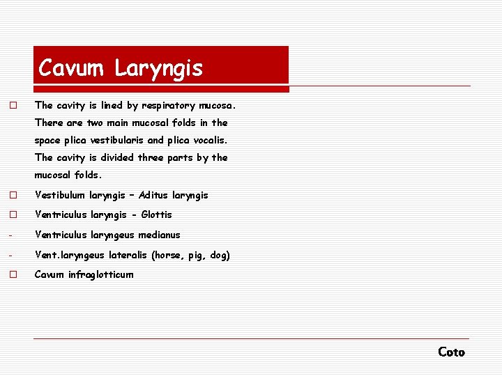 Cavum Laryngis o The cavity is lined by respiratory mucosa. There are two main