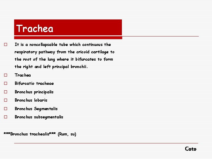 Trachea o It is a noncollapsable tube which continuous the respiratory pathway from the