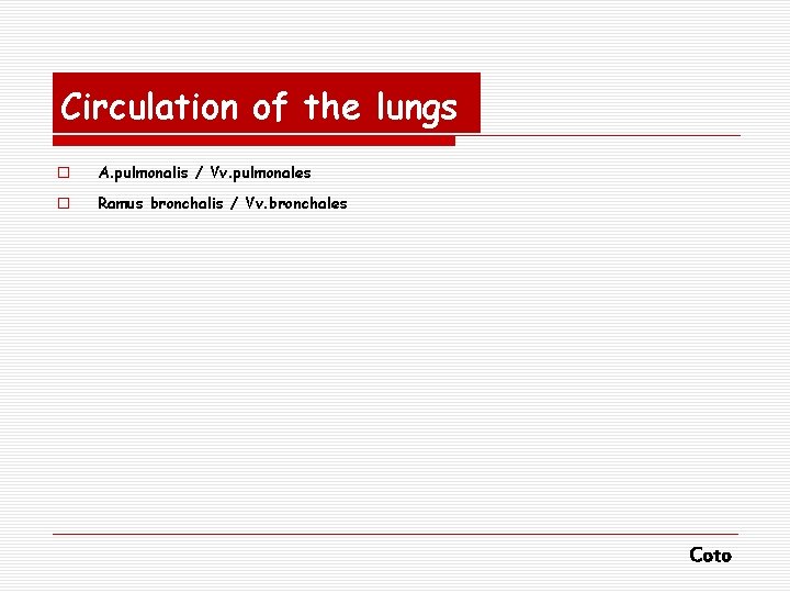 Circulation of the lungs o A. pulmonalis / Vv. pulmonales o Ramus bronchalis /