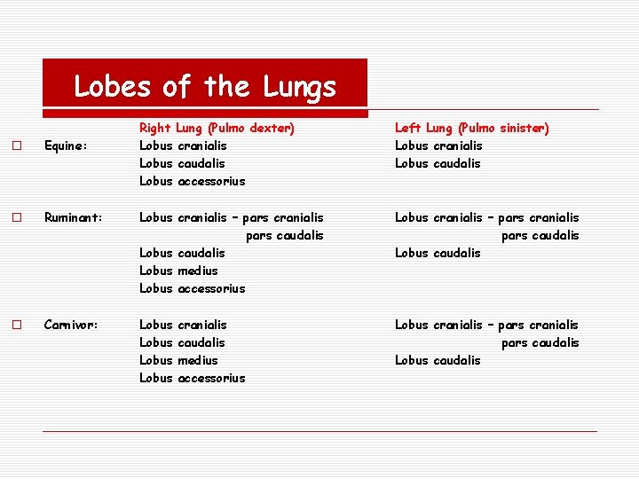 Lobes of the Lungs Right Lung (Pulmo dexter) Lobus cranialis Lobus caudalis Lobus accessorius