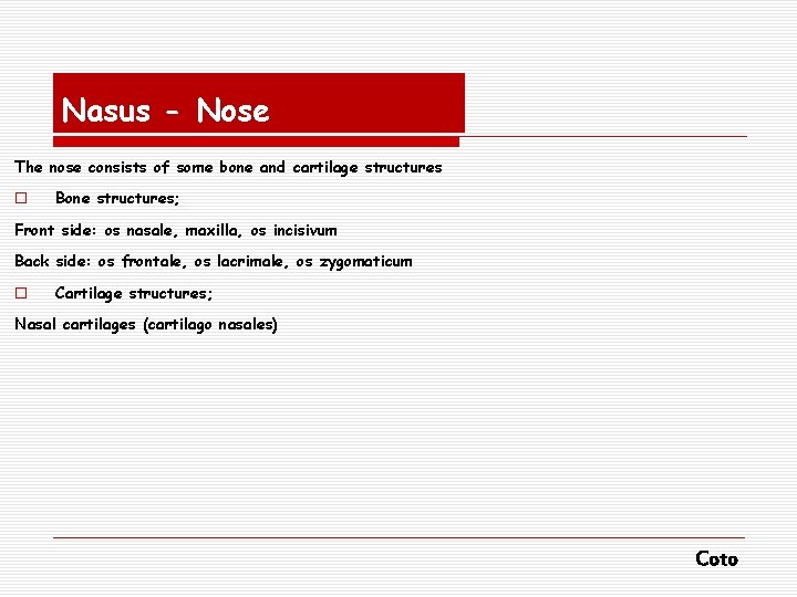 Nasus - Nose The nose consists of some bone and cartilage structures o Bone