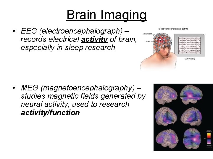 Brain Imaging • EEG (electroencephalograph) – records electrical activity of brain, especially in sleep