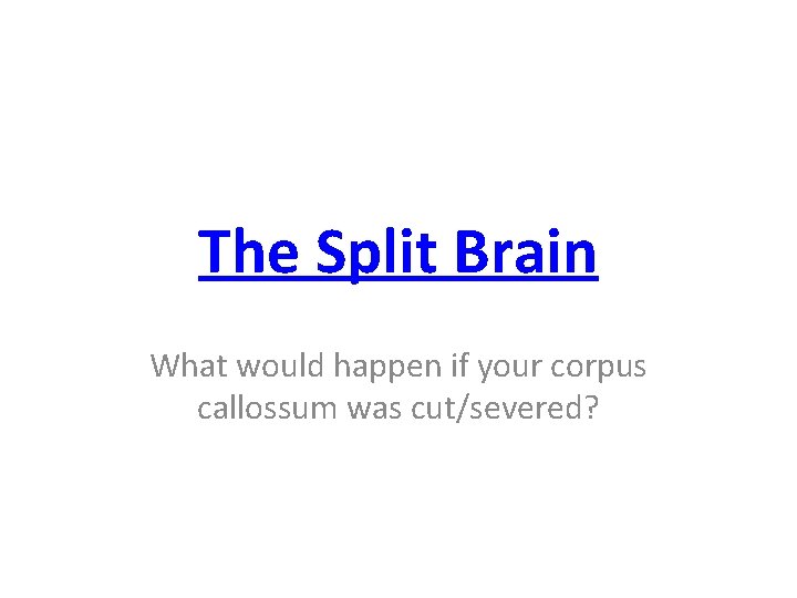 The Split Brain What would happen if your corpus callossum was cut/severed? 